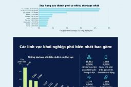 Infographic – Tình Hình StartUps Mỹ 2O15