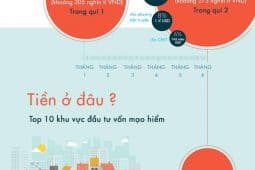 Infographic – Kinh Doanh Mạo Hiểm