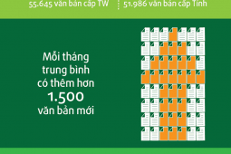 Infographic – Luật ở Việt Nam và Những thống kê