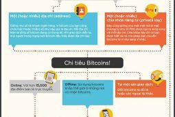 Infographic – Bitcoin Được Giải Thích Như Thế Nào?